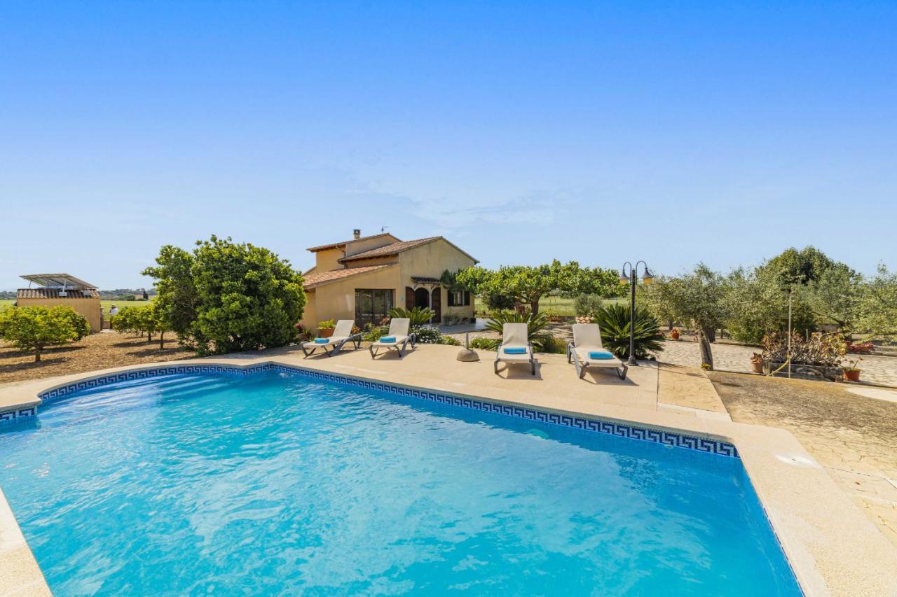 Villa Vernissa Santa Margalida Kültér fotó